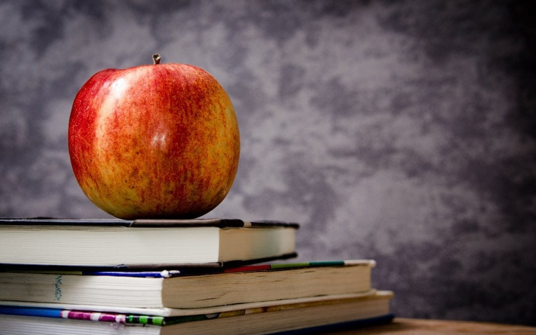 Kochprojekt „schmeckt.einfach.gut.“ an Schulen geht weiter